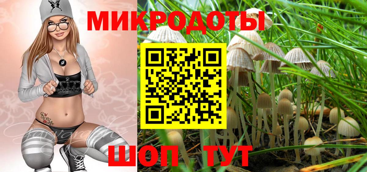 Псилоцибиновые грибы GOLDEN TEACHER  Галлюциногенные грибы MAGIC MUSHROOMS  Вход с VPN  Серпухов 